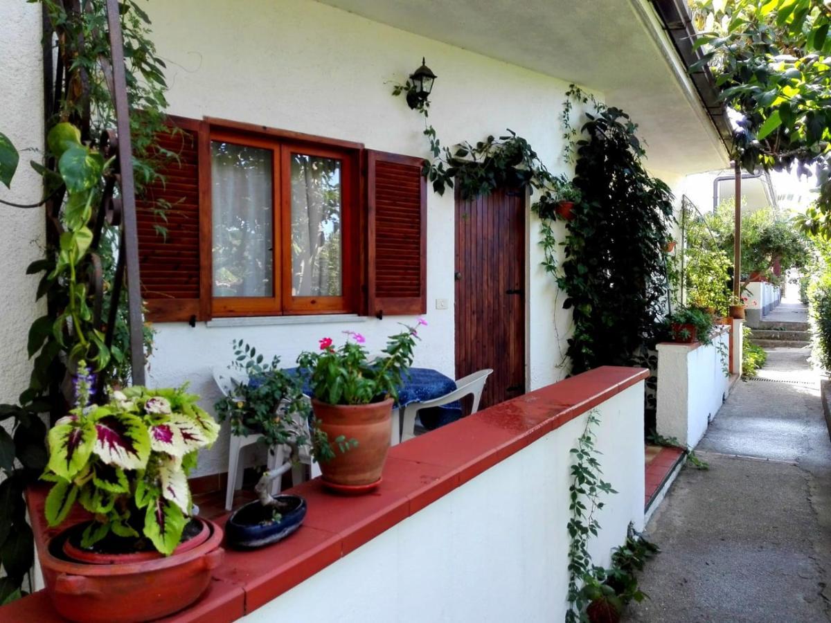 Litto Apartment *