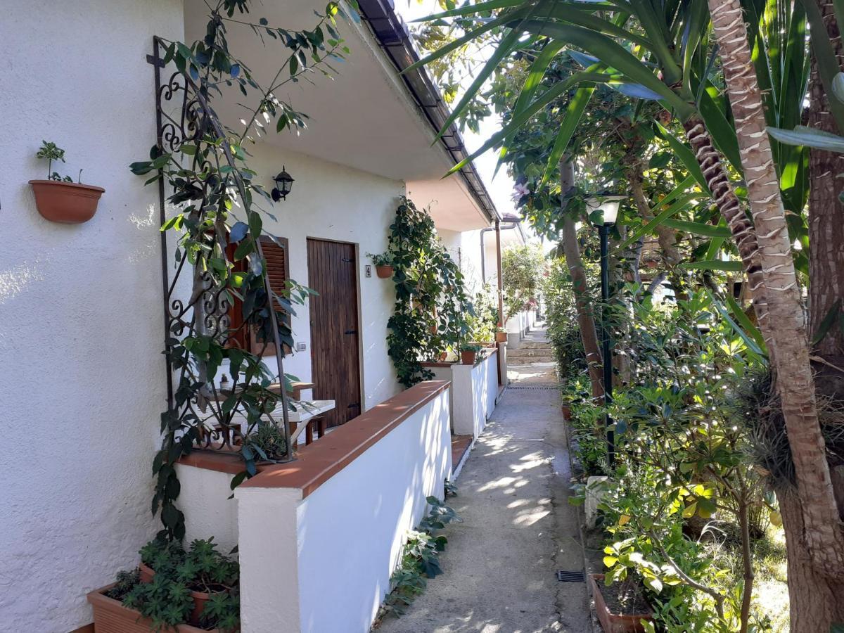Apartment Litto Tropea